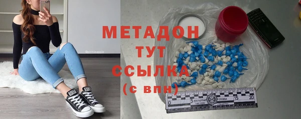 индика Михайловск