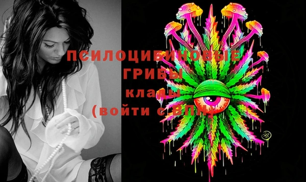 стафф Абаза