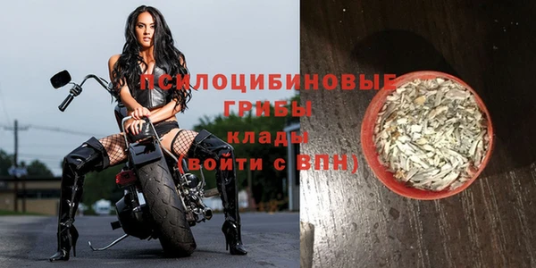 индика Михайловск